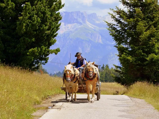 Coronavirus, l'Alto Adige prepara la ripartenza: tutti gli ultimi dati aggiornati