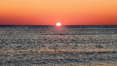 Photo of La vita, la libertà e la ricerca della felicità. Buon anno.