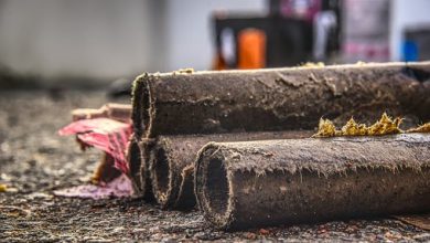 Botti di capodanno, l’aggiornamento sui primi feriti