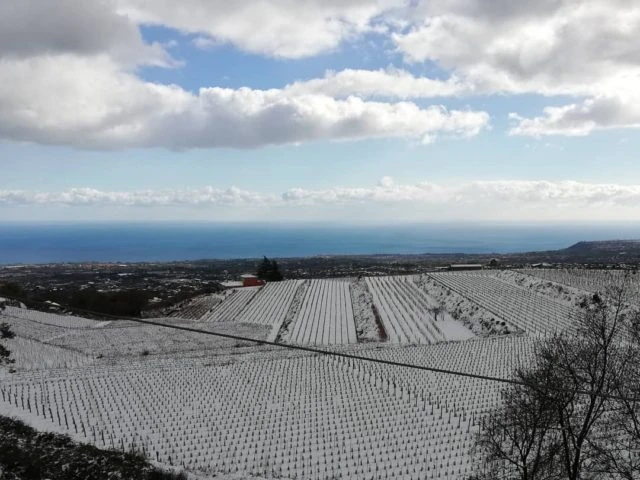 Neve a Fleri e Zafferana, il video e l’aggiornamento sulle zone colpite dal sisma