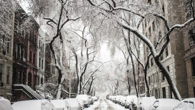 Ondata di gelo in tutta Italia, probabili nevicate al centro-sud anche in bassa quota
