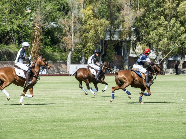 Polo, parte il campionato italiano a Roma: quattro team a caccia del titolo