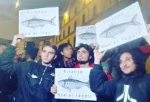 Photo of Le Sardine a Firenze, le immagini e quanti erano realmente