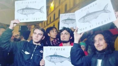 Photo of Le Sardine a Firenze, le immagini e quanti erano realmente