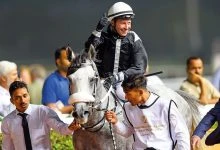 Photo of Ippica, gli Emirati Arabi fanno shopping in Italia