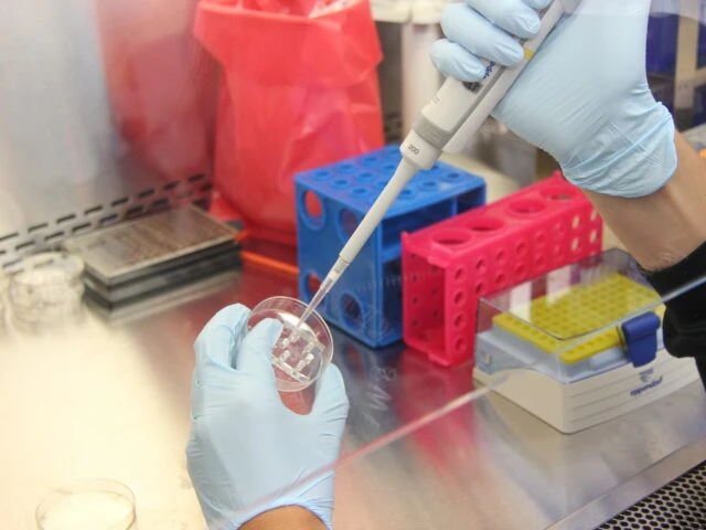 Coronavirus Alto Adige, tornano a salire i contagi: 11 positivi