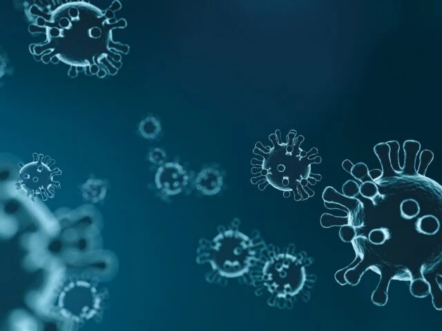 Rimini focolaio coronavirus